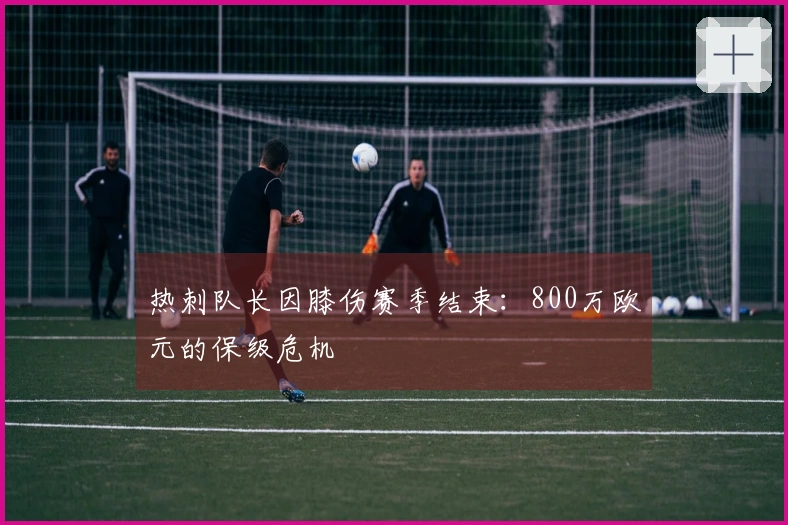 热刺队长因膝伤赛季结束：800万欧元的保级危机