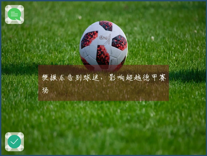 樊振东告别球迷，影响超越德甲赛场