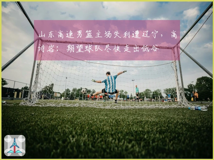 山东高速男篮主场失利遭辽宁，高诗岩：期望球队尽快走出低谷